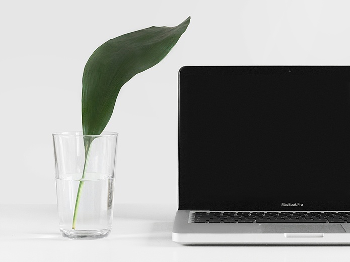 Ein Wasserglas mit Blatt steht neben einem Laptop