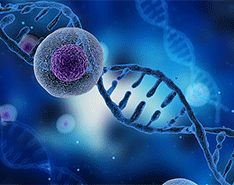 eine computergemachte Darstellung einer DNA Doppelhelix
