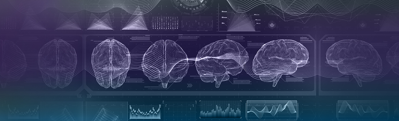 röntgenhafte Darstellung eines menschlichen Gehirns als Banner