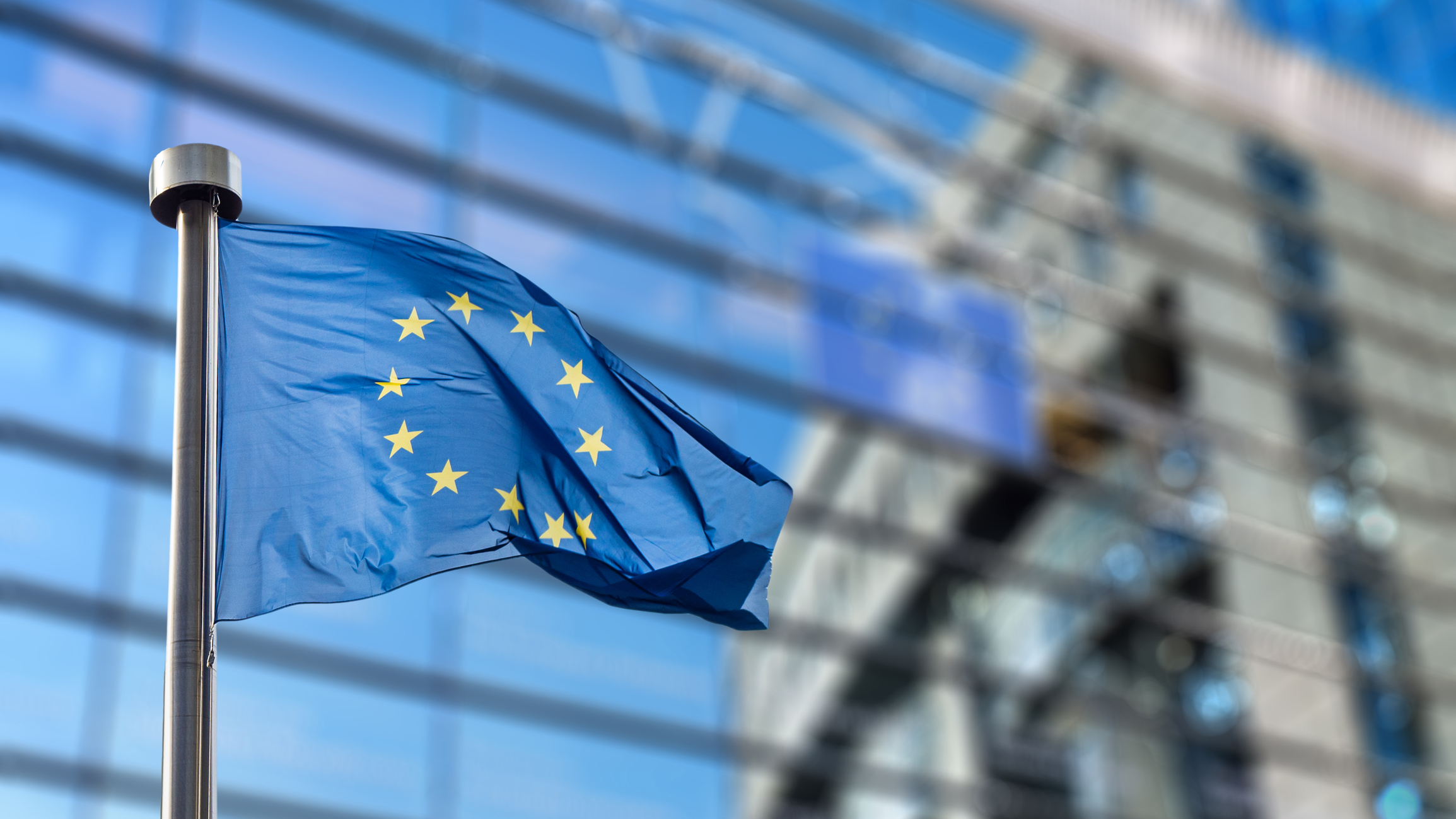 European Union flag